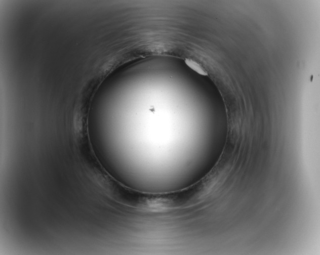 X0000088360268200706051029