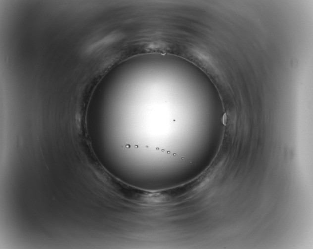 X0000088360269200706051029