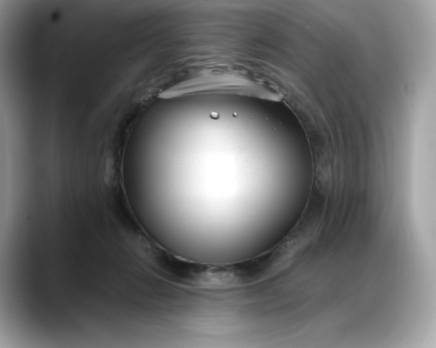 X0000088360270200706051029