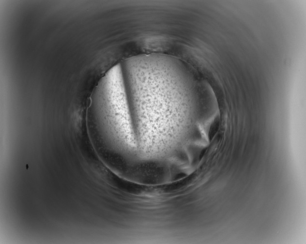 X0000088360271200706051029