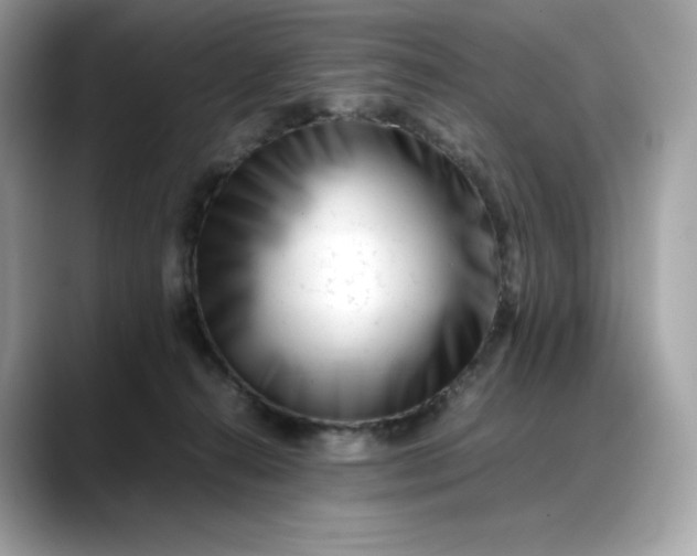 X0000088360272200706051029