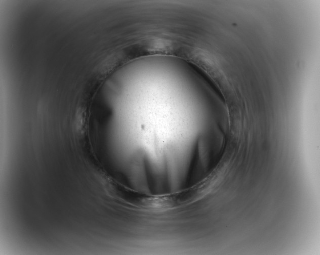 X0000088360273200706051029