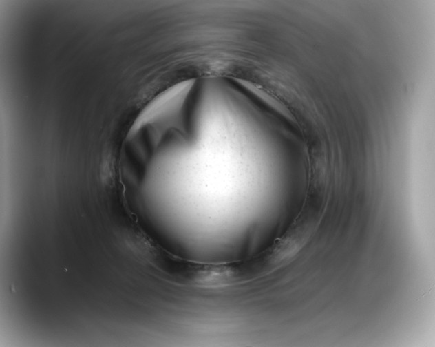 X0000088360274200706051029