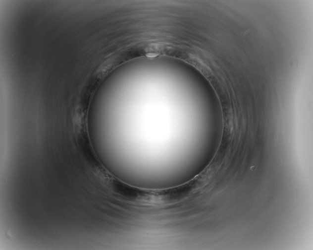 X0000088360276200706051029