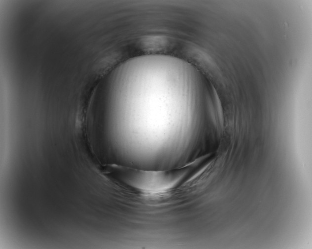 X0000088360277200706051029