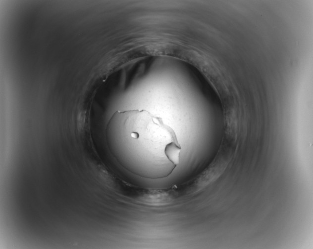 X0000088360278200706051029