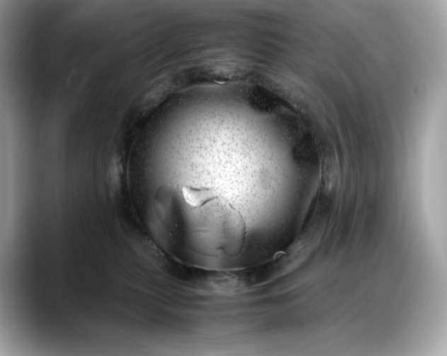 X0000088360279200706051029