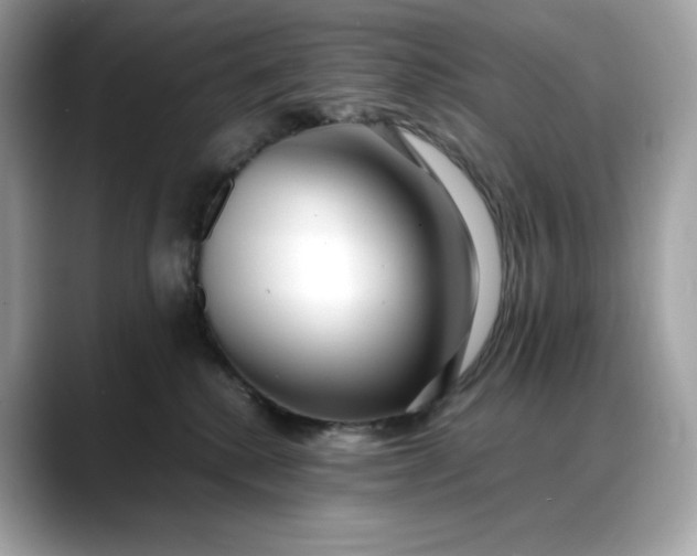 X0000088360280200706051029