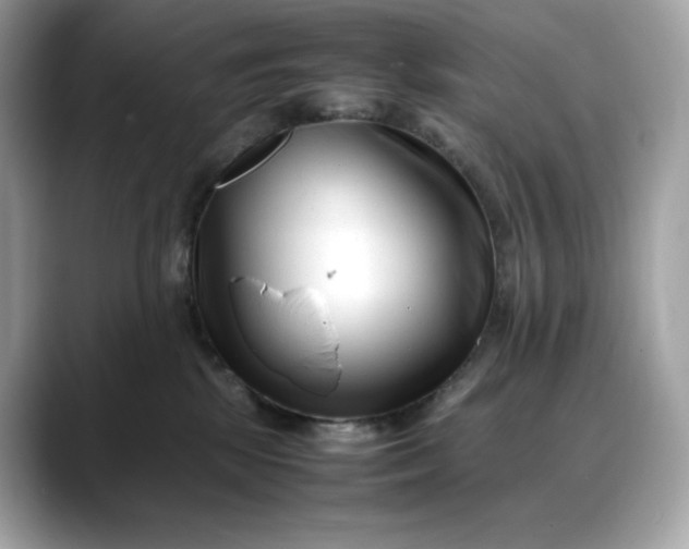 X0000088360281200706051029