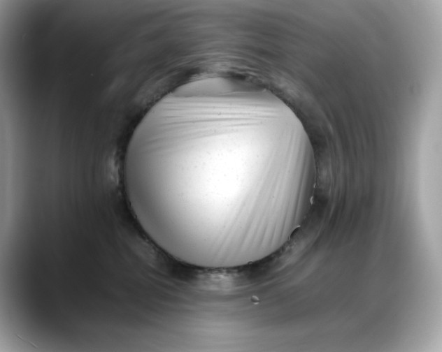 X0000088360282200706051029