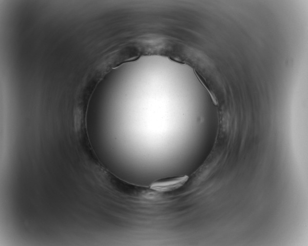 X0000088360283200706051029