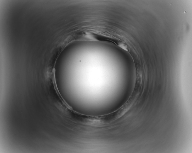 X0000088360284200706051029