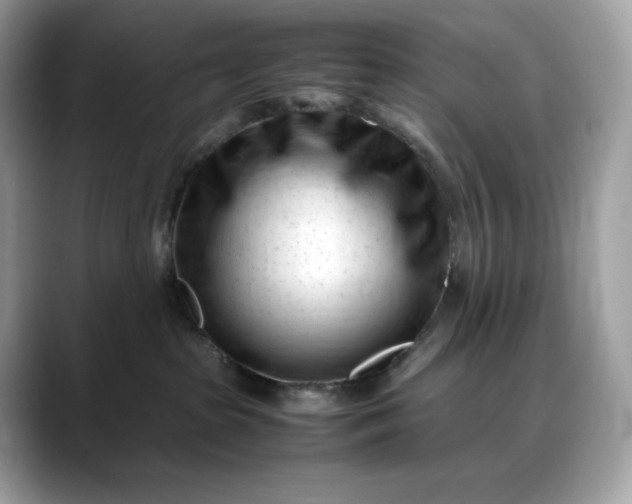 X0000088360285200706051029