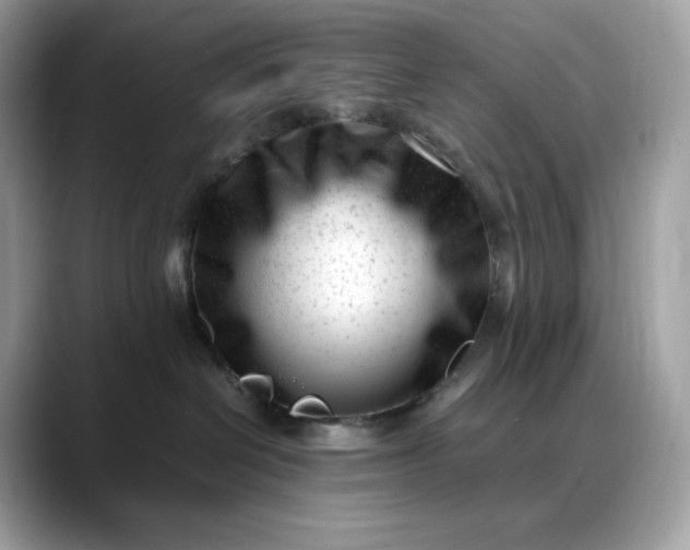 X0000088360286200706051029