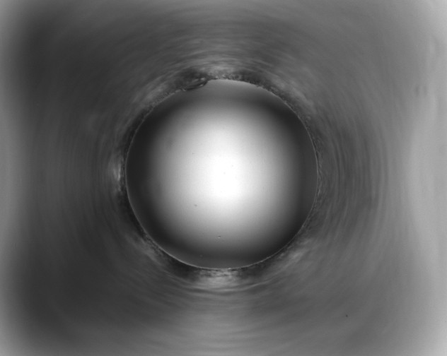 X0000088360288200706051029