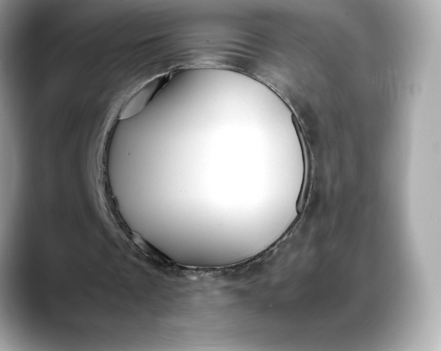 X0000088360289200706051028