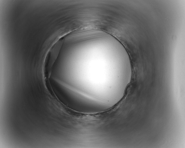 X0000088360290200706051028