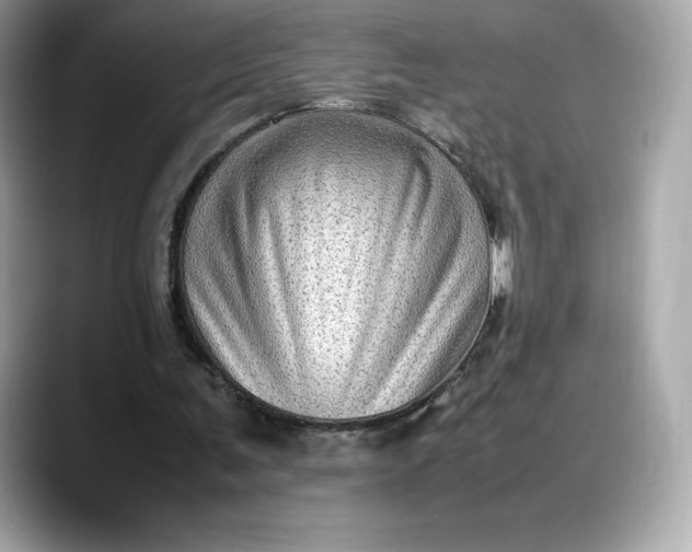 X0000088360291200706051028