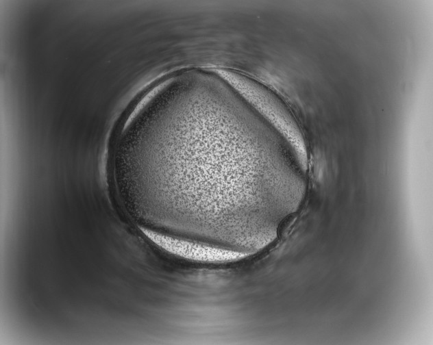 X0000088360292200706051028