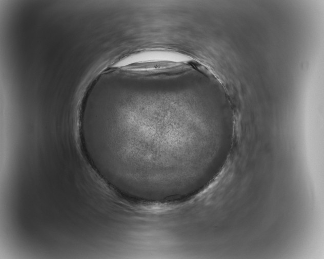 X0000088360293200706051028