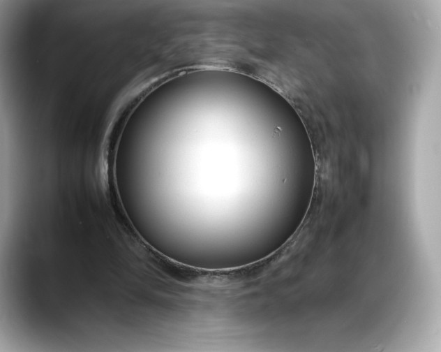 X0000088360294200706051028