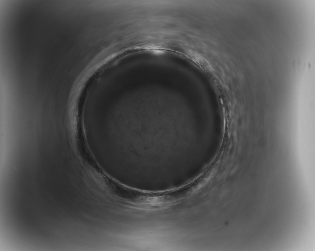 X0000088360295200706051028