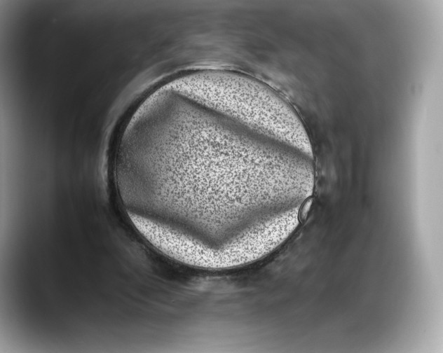 X0000088360296200706051028