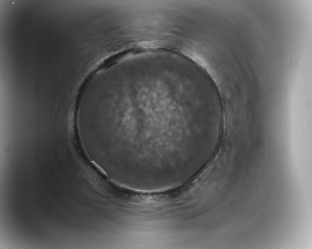 X0000088360297200706051028