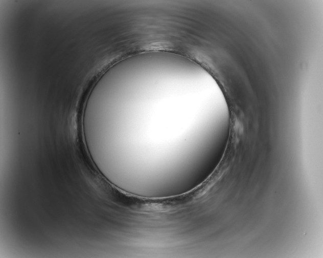 X0000088360298200706051028