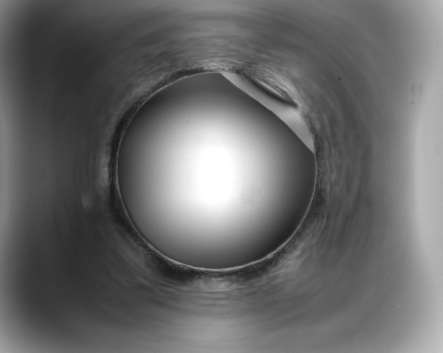 X0000088360299200706051028