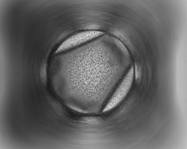 X0000088360300200706051028