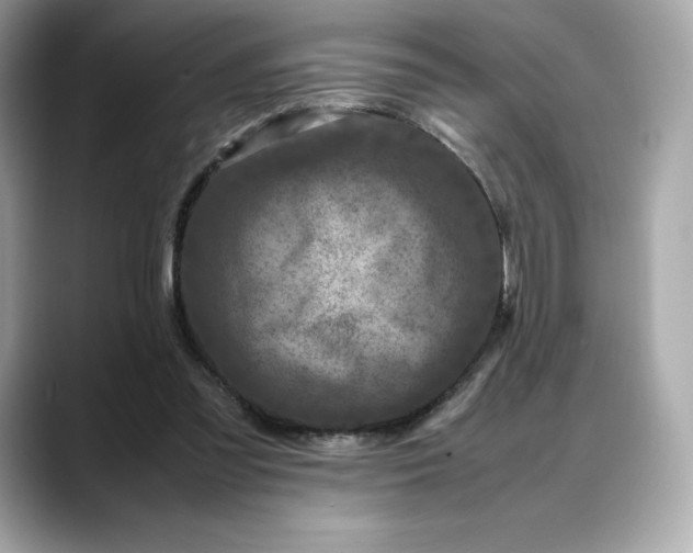 X0000088360301200706051028