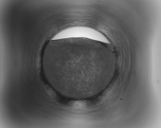 X0000088360303200706051028