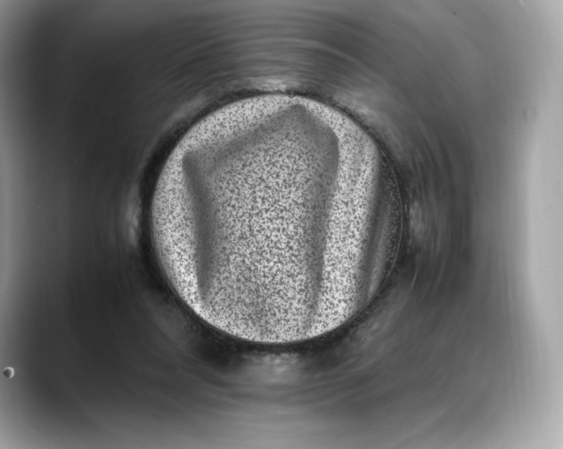 X0000088360304200706051028