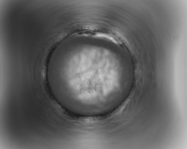 X0000088360305200706051028