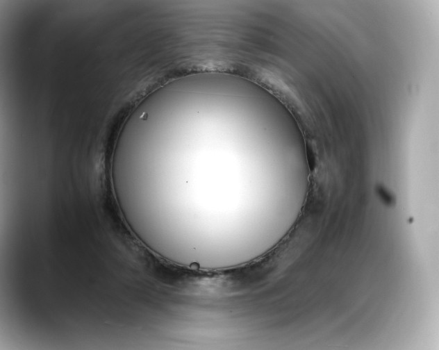 X0000088360306200706051028