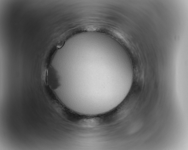 X0000088360307200706051028