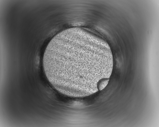 X0000088360308200706051028