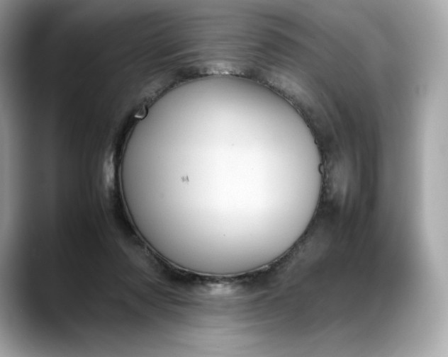 X0000088360310200706051028