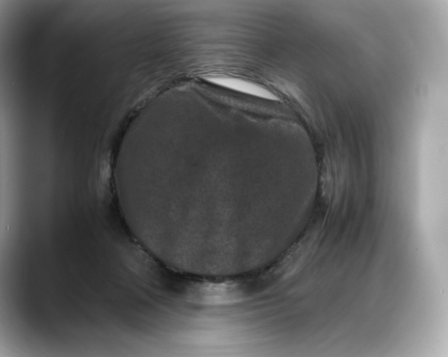 X0000088360314200706051028