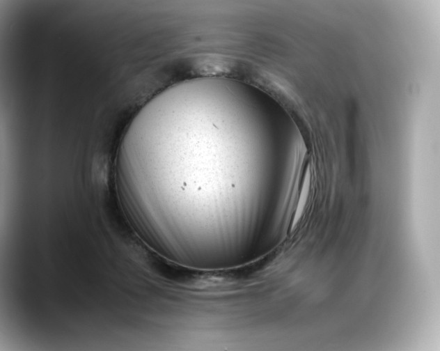 X0000088360315200706051028