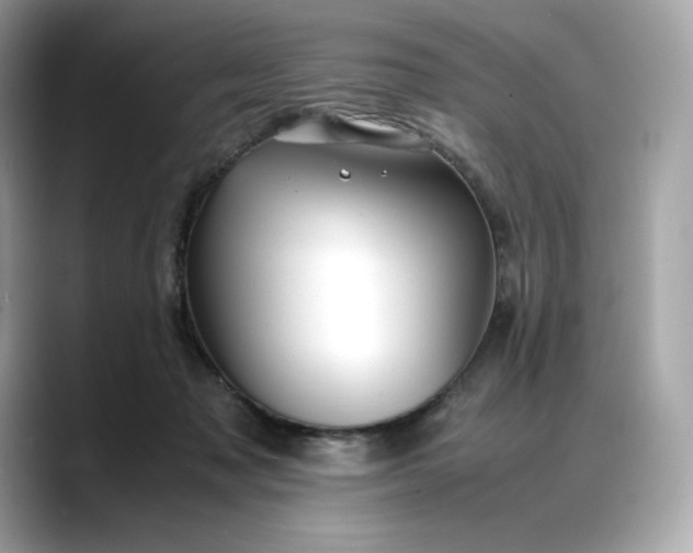 X0000088360317200706051028