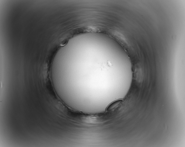 X0000088360318200706051028