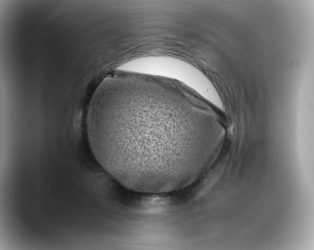 X0000088360319200706051028