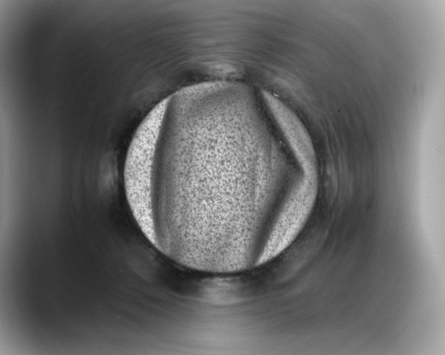 X0000088360320200706051028