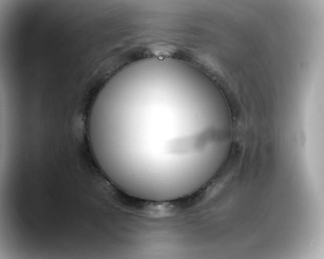 X0000088360321200706051028