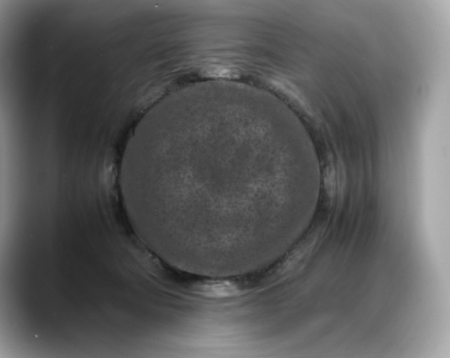 X0000088360322200706051028