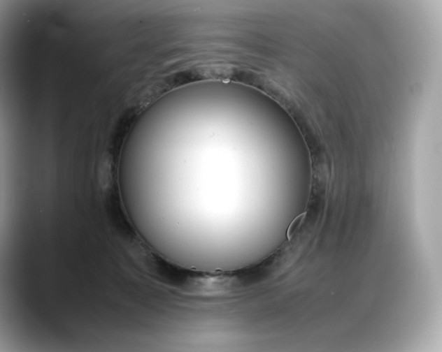 X0000088360323200706051028