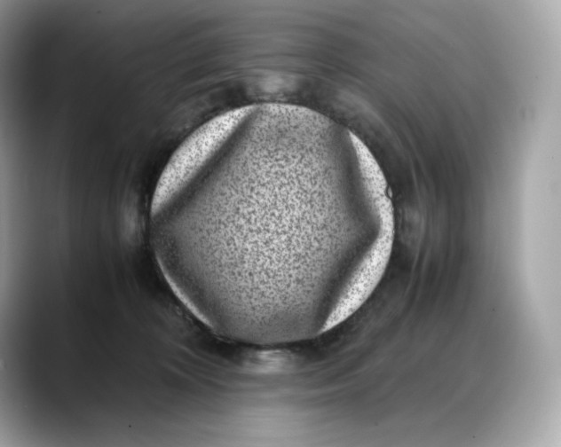 X0000088360324200706051028