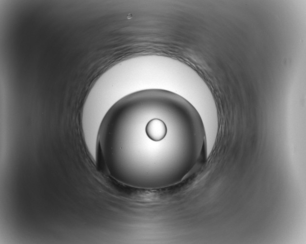 X0000088360325200706051028